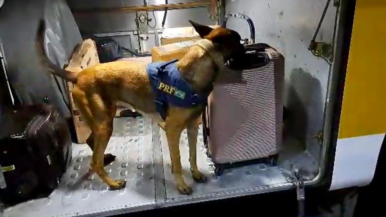 WhatsApp Image 2023-06-23 at 10.04.58.jpeg