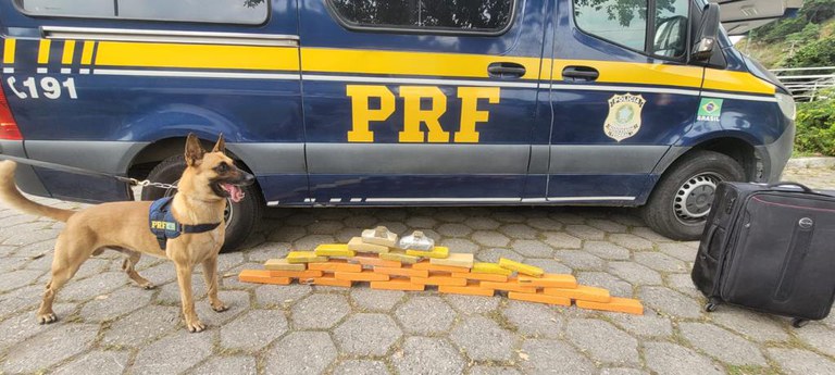 WhatsApp Image 2023-06-14 at 09.35.56.jpeg