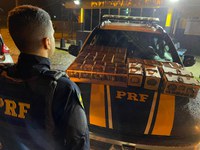 PRF prende homem que transportava ilegalmente dezenas de aves silvestres