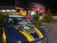 Jovem é presa com armas de fogo e munições na Rodovia Presidente Dutra