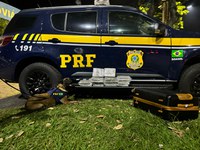 Passageira de ônibus é presa com oito quilos de skunk no RJ