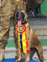 PRF participa do 2 º Torneio de Faro de Entorpecentes no Rio de Janeiro