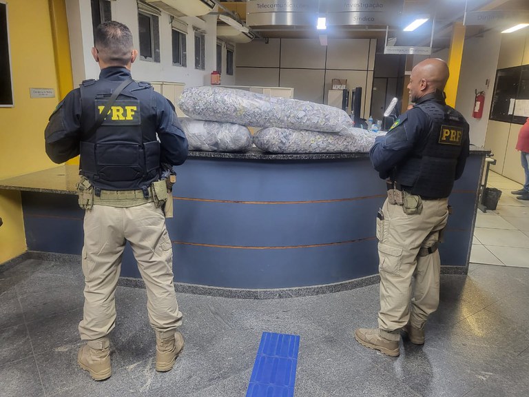 29653a86-537d-4740-9ac4-8bb4e6c05ca2.jfif