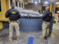 PRF prende motorista com maconha e cocaína na Dutra