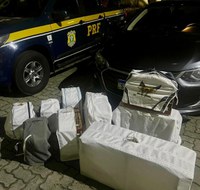 Homem é preso pela nona vez por transporte ilegal de pássaros silvestres