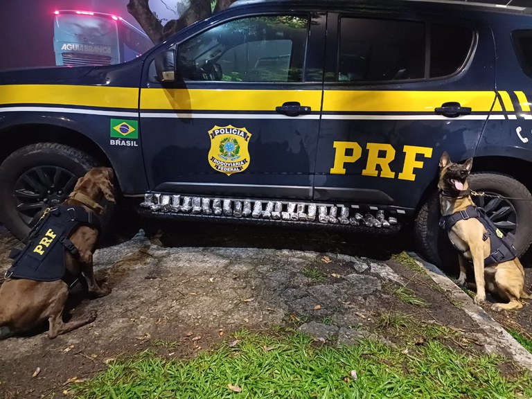 WhatsApp Image 2024-11-23 at 09.51.13.jpeg