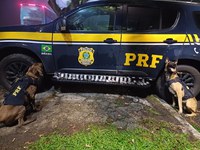 Mulher é presa com 5 quilos de haxixe em Piraí/RJ