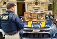 PRF resgata aves silvestres na Rodovia Niterói-Manilha