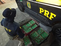 Mulher é presa com substância análoga a "lança-perfume" em ônibus interestadual na BR-040