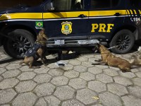 Passageiro é preso com mais de 4 kg de haxixe em ônibus interestadual na BR-116