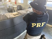 Fiscalização da PRF na BR-101 termina com apreensão de drogas em Campos dos Goytacazes