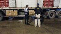 PRF apreende 1,3 tonelada de queijo coalho transportado de forma irregular em Itatiaia