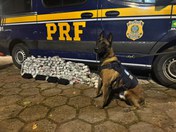 Um homem de 55 anos foi preso