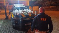 PRF apreende cerca de 13 quilos de entorpecentes na BR-101