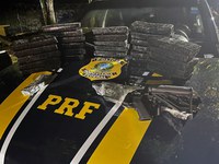 PRF apreende fuzil e carregamento de maconha na Rodovia Presidente Dutra
