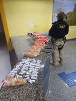 Em Teresópolis, PRF apreende cerca de 2 mil pinos de cocaína