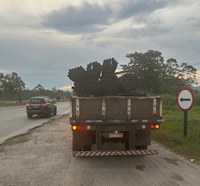 PRF flagra carreta com carga siderúrgica mal-acondicionada na Dutra