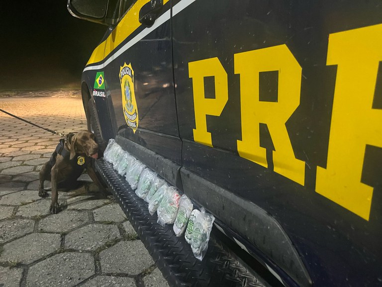 WhatsApp Image 2025-03-25 at 10.31.41.jpeg