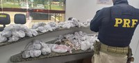 PRF apreende grande quantidade de drogas na Dutra