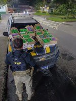 Em Petrópolis, PRF apreende mais de mil frascos de lança-perfume