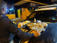PRF apreende drogas e granada artesanal em ônibus interestadual na BR-101