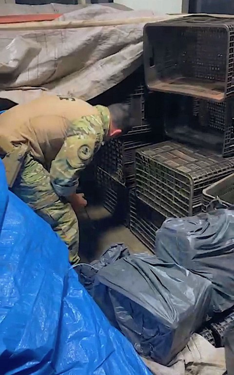 WhatsApp Image 2025-10-27 at 11.24.22.jpeg