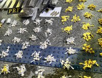 PRF e PM apreendem arma de fogo e drogas em Teresópolis