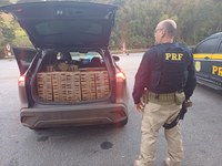 Em Três Rios/RJ, PRF resgata aves silvestres e apreende droga na BR-040