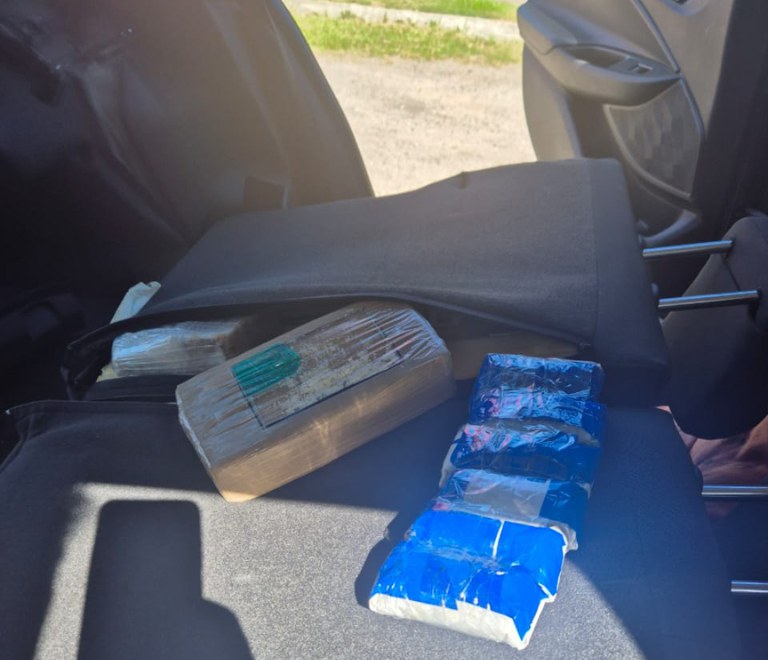 f2761e98-8ff2-498b-8f86-94d868ba332b.jfif