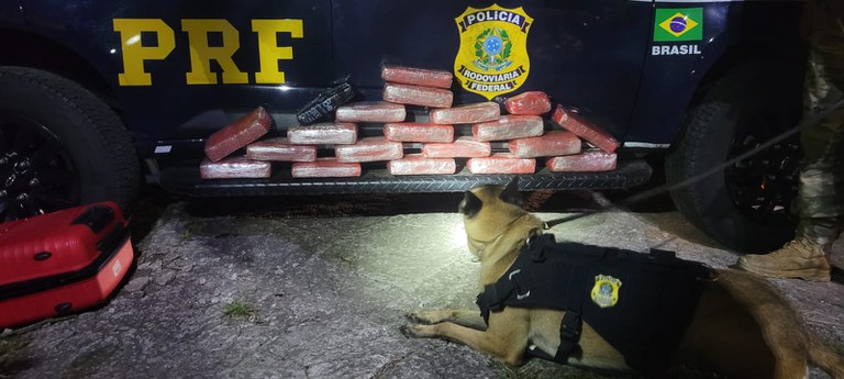 dabae1bf-ccda-46fa-ad54-5a995f6f452e.jfif