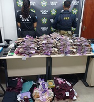 PRF e Polícia Civil desarticulam quadrilha de furtos em lojas no Sul Fluminense