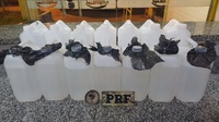 Em Casimiro de Abreu, PRF apreende aproximadamente 70 litros de lança-perfume