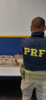 PRF flagra motorista sem habilitação e resgata aves silvestres em ônibus na Dutra
