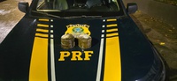 Na Dutra, PRF prende mulher com droga em ônibus interestadual