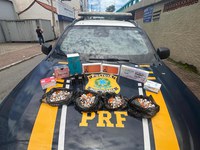 PRF apreende medicamentos proibidos e produtos importados irregularmente na Via Dutra