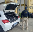 alfa.jpg