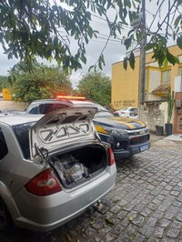 Apreensão