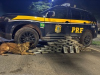 PRF apreende aproximadamente 50 quilos de maconha em Piraí