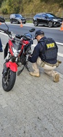 PRF apreende motocicleta roubada e arma de fogo na BR-040, em Petrópolis
