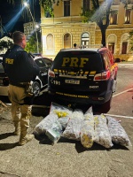 PRF apreende aproximadamente 50 kg de drogas na BR-101, em Niterói