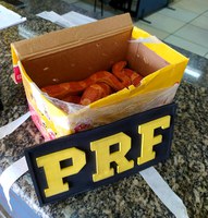 PRF prende foragido da justiça em ônibus de linha no RJ