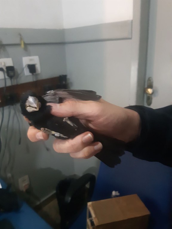 WhatsApp Image 2021-06-16 at 08.22.41 (1).jpeg