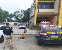 PRF prende autor de tentativa de assalto à pedestres em Niterói