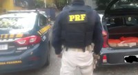 PRF prende homem que transportava ilegalmente pássaros silvestres na BR-040