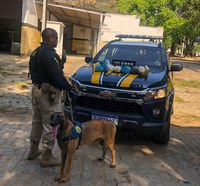 PRF e Polícia Civil apreendem cocaína na Dutra