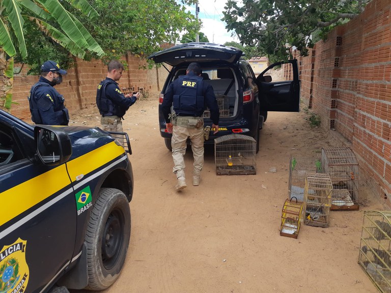 WhatsApp Image 2022-08-31 at 22.25.46.jpeg