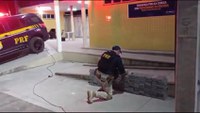 PRF apreende 162 quilos de cocaína e prende casal por tráfico de drogas em Macaíba/RN