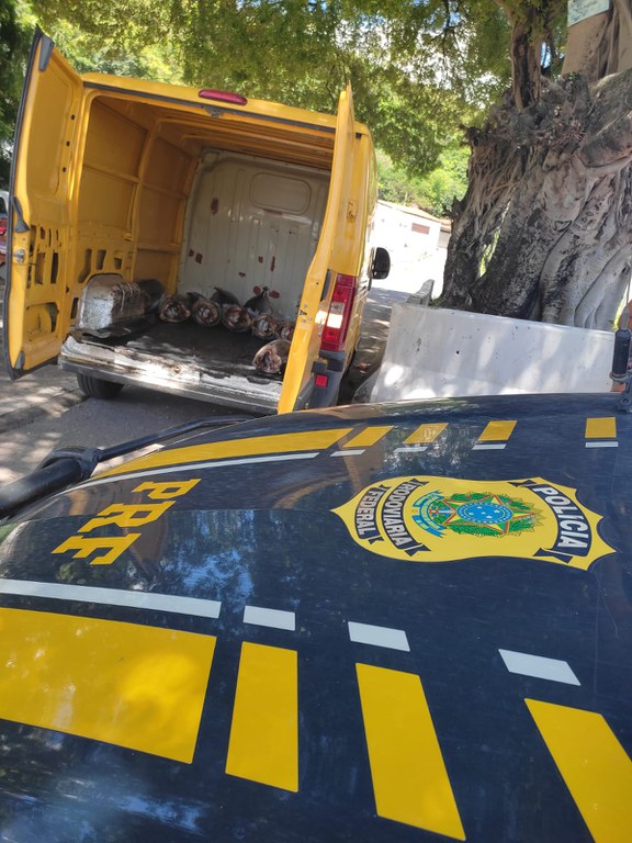 WhatsApp Image 2023-03-29 at 11.25.21.jpeg