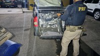 PRF prende traficante e apreende mais de 16 quilos de Skunk em São José de Mipibu/RN