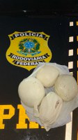 PRF prende homem transportando 2 kg de droga em ônibus durante a Operação Carnaval